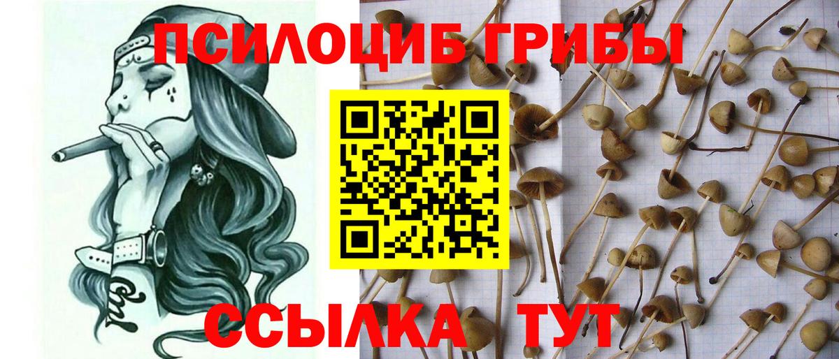 Сосновый Бор  Галлюциногенные грибы мухоморы  Вход с VPN 